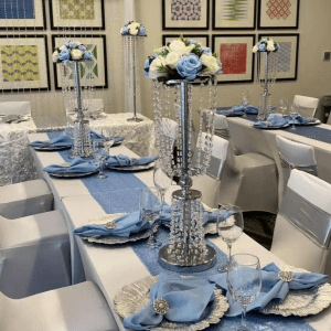 imagen_2025-01-31_094611237