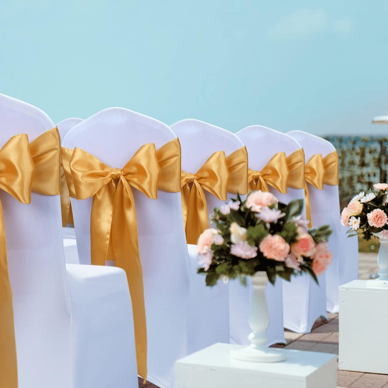 imagen_2025-01-31_101453105